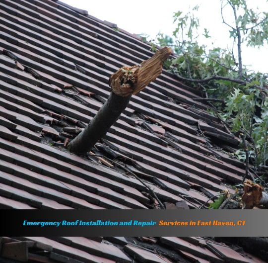 Roof Installation Services